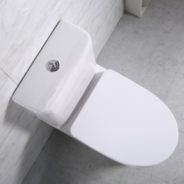 Унитаз-компакт BelBagno Steam BB130CPR