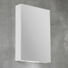 Зеркальный шкаф BelBagno SPC 50 SPC-1A-DL-BL-500 с подсветкой