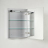 Зеркальный шкаф BelBagno SPC 50 SPC-1A-DL-BL-500 с подсветкой