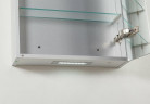 Зеркальный шкаф BelBagno SPC 50 SPC-1A-DL-BL-500 с подсветкой