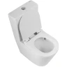 Унитаз-компакт BelBagno Flay-Tor BB2149CP-TOR