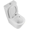 Унитаз-компакт BelBagno Flay-Tor BB2149CP-TOR