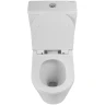 Унитаз-компакт BelBagno Flay-Tor BB2149CP-TOR