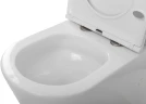 Унитаз-компакт BelBagno Flay-Tor BB2149CP-TOR