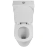 Унитаз-компакт BelBagno Flay-Tor BB2149CP-TOR/BB2149T/BB2111SC