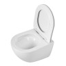 Унитаз BelBagno Amanda BB051CH-TOR-FC/SC подвесной
