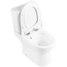 Унитаз-компакт BelBagno Steam BB130CPR/SC