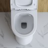 Унитаз-компакт BelBagno Steam BB130CPR/SC