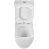Унитаз-компакт BelBagno Luce-Tor BB2197CP-TOR/SC/BB2197T