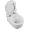 Унитаз BelBagno Soft-Tor BB084CH-TOR подвесной