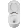 Унитаз BelBagno Soft-Tor BB084CH-TOR подвесной
