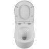Унитаз BelBagno Soft-Tor BB084CH-TOR подвесной