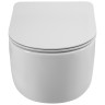 Унитаз BelBagno Soft-Tor BB084CH-TOR подвесной