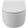 Унитаз BelBagno Soft-Tor BB084CH-TOR подвесной