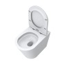 Унитаз BelBagno Flay BB1003CB-TOR/SC приставной