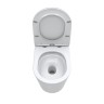 Унитаз BelBagno Flay BB1003CB-TOR/SC приставной