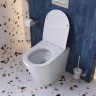 Унитаз BelBagno Flay BB1003CB-TOR/SC приставной