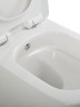 Унитаз подвесной BelBagno Kraft BB7106CH-TOR-BS/SC