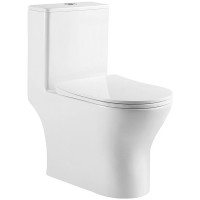 Унитаз моноблок BelBagno Lounge BB8618CPR-MN/SC