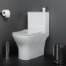 Унитаз моноблок BelBagno Lounge BB8618CPR-MN/SC