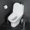 Унитаз моноблок BelBagno Lounge BB8618CPR-MN/SC