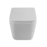 Унитаз BelBagno Due BB7107CHR/SC подвесной