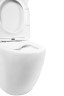 Унитаз-компакт BelBagno Amanda BB051CPR/BB051SC
