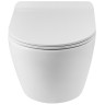 Унитаз BelBagno Sfera-R BB046CHR/BB902SC подвесной