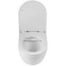 Унитаз BelBagno Sfera-R BB046CHR/BB902SC подвесной