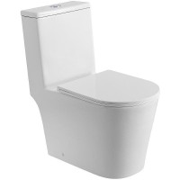 Унитаз моноблок BelBagno Tre-Tor BB673CP-MN-TOR/SC