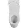 Унитаз моноблок BelBagno Tre-Tor BB673CP-MN-TOR/SC
