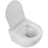 Унитаз BelBagno Sfera-Tor BB046CH-TOR подвесной